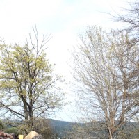 MALE AND FEMALE KIMONO